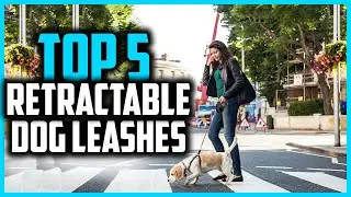 ✅Top 5 Best Retractable Dog Leashes Reviews 2024