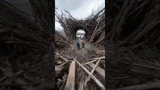 Storm Reveals Nest-Like Timber Structure Along Shoreline