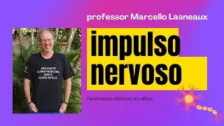 Fenômenos elétricos nas células: impulso nervoso