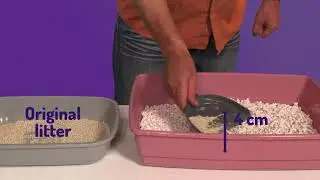 How to use Asan
