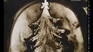 Vivaldi Four Seasons Winter Sand Animation film Ferenc Cak&oacute;.flv