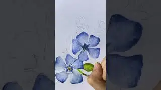 Watercolor Painting Periwinkle Flower 🦋 #art #flowers #watercolor #watercolorpainting #periwinkle