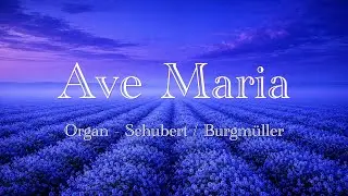 Ave Maria (Organ)&ndash; Schubert / Burgm&uuml;ller
