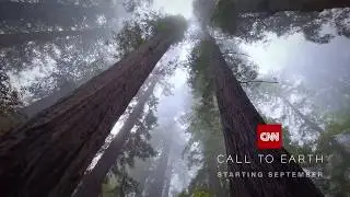 CNN International: 