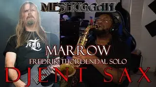 [ALTO SAX TRANSCRIPTION] Fredrik Thordendal's 2nd Solo on 