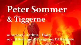 Peter Sommer og Tiggerne - 05 - Til Rotterne, Til Kragerne, Til Hundene - Aarhus, Train
