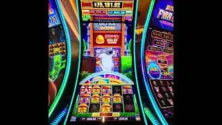 $225 BET HUGE JACKPOT HANDPAY WIN HUFF N EVEN MORE PUFF GRAND - CAESARS NEW ORLEANS - 50 Cents Denom