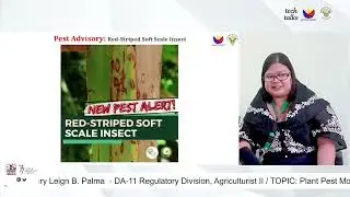 TECH TALKS| Plant Pest Monitoring and Surveillance 