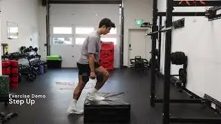Step Up Exercise Demo