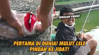 MANCING GALATAMA LELE BABON PAKE TEGEK! DAIDO SUPREME POLE DIBETOT POL PANITIA KETAMPOL! WARJO SHOCK