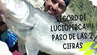 RECORD DE LUCIOPERCA!!!! +10k +100cm💥Monster zander🥇