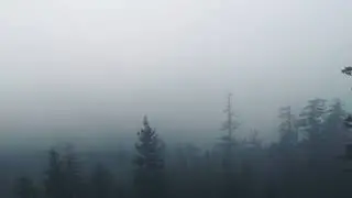 Fall Asleep Fast and Stay Asleep | Deep Sleep Music for Relaxation (3 Hours)