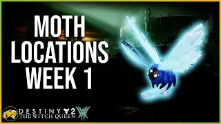 Lucent Moth Locations Week 1 - Quagmire - Apothecary - Lepidopterist - Destiny 2