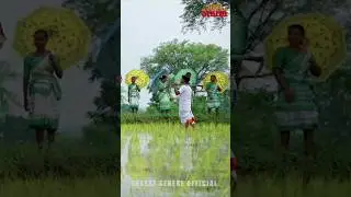 Baba Jang || New Traditional Ho Song || SEBERE SEBERE ||#shorts #ytshorts #newsong #traditionalsong
