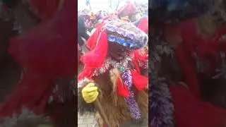 Ursi de la solca 2019