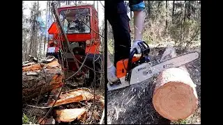Wycinka i transport drewna budowlanego/opałowego | 2023