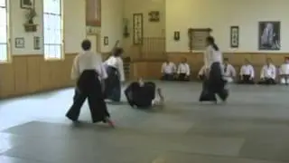Multiple  3 Person Attack - Randori