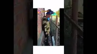 Electro Move