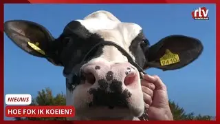 Fokveedag Eibergen 2024 | RTV Slingeland