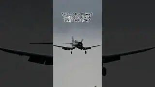 What happens if you land a Corsair too hard 💀 #aviation #shorts