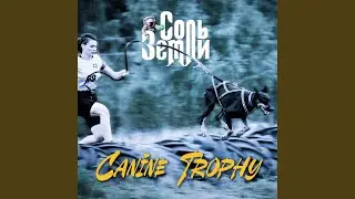Canine Trophy