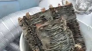 Поездка на пункт приема металлолома. Сколько он весил? Сколько за него заплатили? #жизньналоме #wwwp
