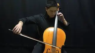 Cello by Luca Zerilli, Udine, Italy 2018