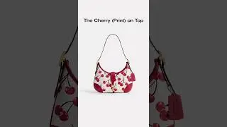 The Hamptons Hobo With A Cherry On Top 🍒