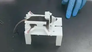 New Mouse Fixing Frame #animal #behaviour #brain #neuroscience #mouse #experiment #behaviouranalysis