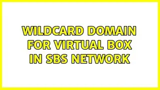 Wildcard domain for virtual box in sbs network