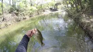 White Rock Creek