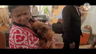 Dog show Bangalore 2025