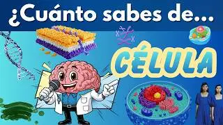 &iquest;Cu&aacute;nto sabes de la C&Eacute;LULA?