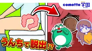 体のなかでサバイバル！？うんちになって脱出！？子ども向け知育教育★comotto学園★【アニメ】