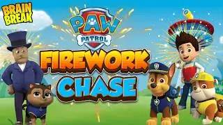 Paw Patrol Fireworks Chase! | Kids Brain Break 🎆