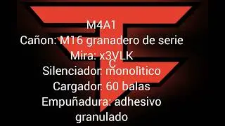 Clase de Atlanta Face de la X4A1