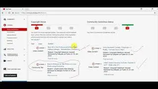 Good News -  My Smart Support All Strikes Removed ! Thanks to Indian Youtube Crea