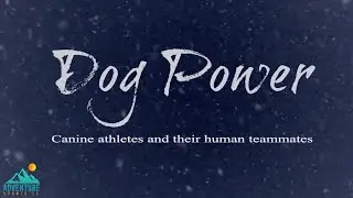 Dog Power: ездовые собаки, адаптивные спортсмены и зимние приключения
