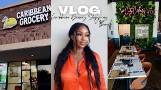 VLOG | New Caribbean Grocery Store in HTX | Brunch with a New Friend!