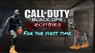 Playing CoD Zombies for the first time