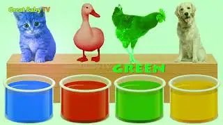 165 Learn Colors With Animals Bathing Colors Fun Finger Family Nursery Rhyme Song