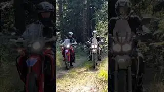 Honda CRF 300 Rally & Voge 300 Rally #honda #voge300rally #travel #goodvibes #bikelife #enduro #fun