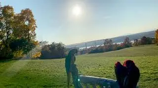 Hennessey the 2 year old free flying macaw gets chased by a hawk