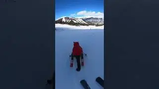 Серый кот на лыжах в бешеном спуске