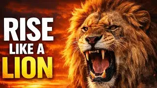 Lion Motivation: Rise Stronger After Every Failure 💪 | Best Animal Motivation