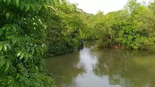 Beautiful Halga Village Enroute, Karwar Karnataka