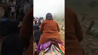 Kedarnath Dham#Horses#Animal care#Fresh Snowfall#shorts#please_subscribe_my_channel 🙏