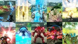All Characters Unique Actions (Including All DLC Characters) - Hyrule Warriors Age of Calamity