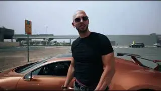 What Color Is Your Bugatti - Day 42