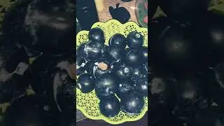 Guess the fruit??😱😋#AluBukhara #FullBlack AluBukhara#youtubeshortsvideo #ColdFruit #shortsbeta